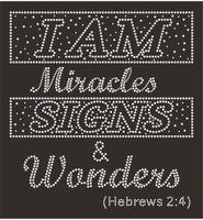I Am Miracles, Signs, and Wonders