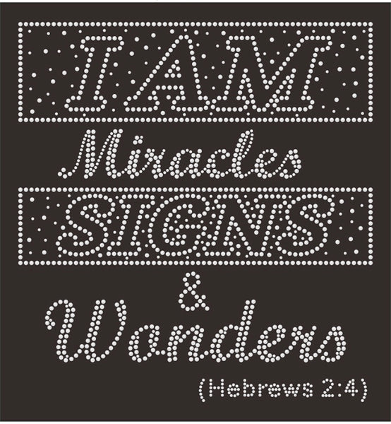 I Am Miracles, Signs, and Wonders