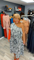 Mz. One Armed Zebra Dress